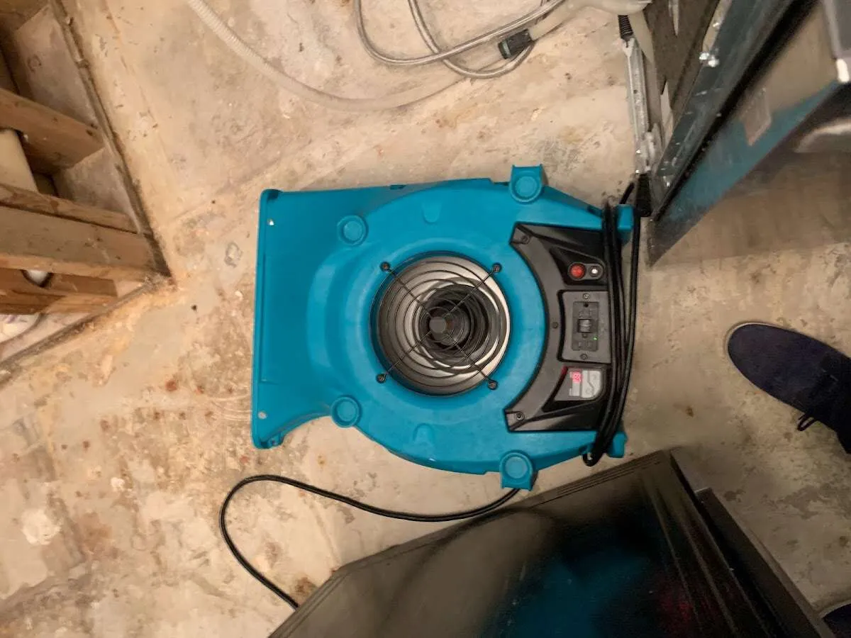 Air mover drying equipment for Mold Remediation & Removal in Catalina Foothills